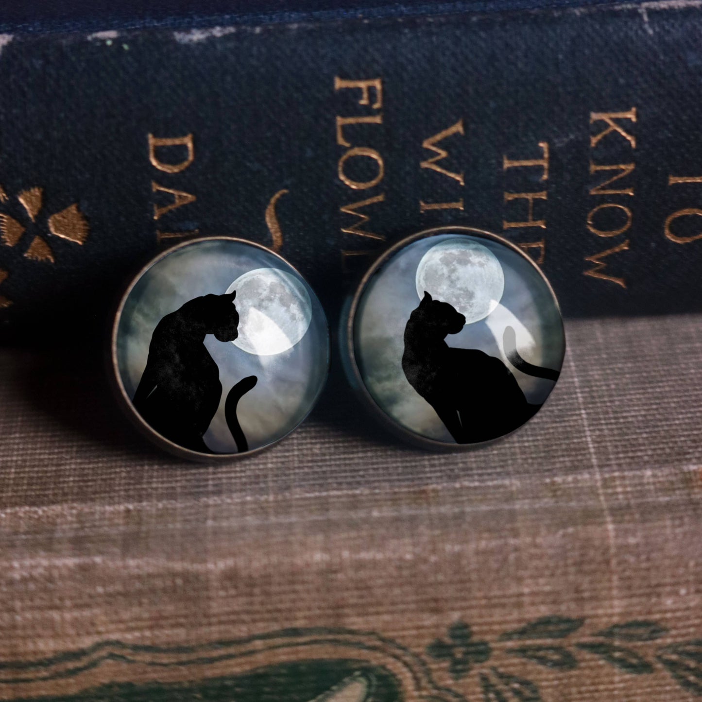 Black Cat and Full Moon Goth Halloween Post Earrings